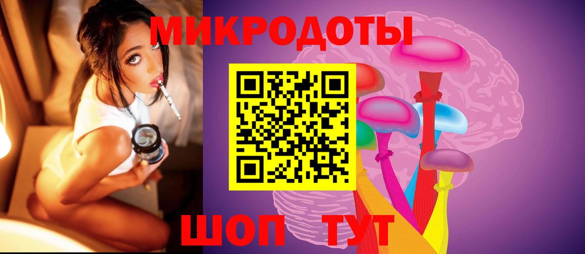 Галлюциногенные грибы мухоморы Чернушка
